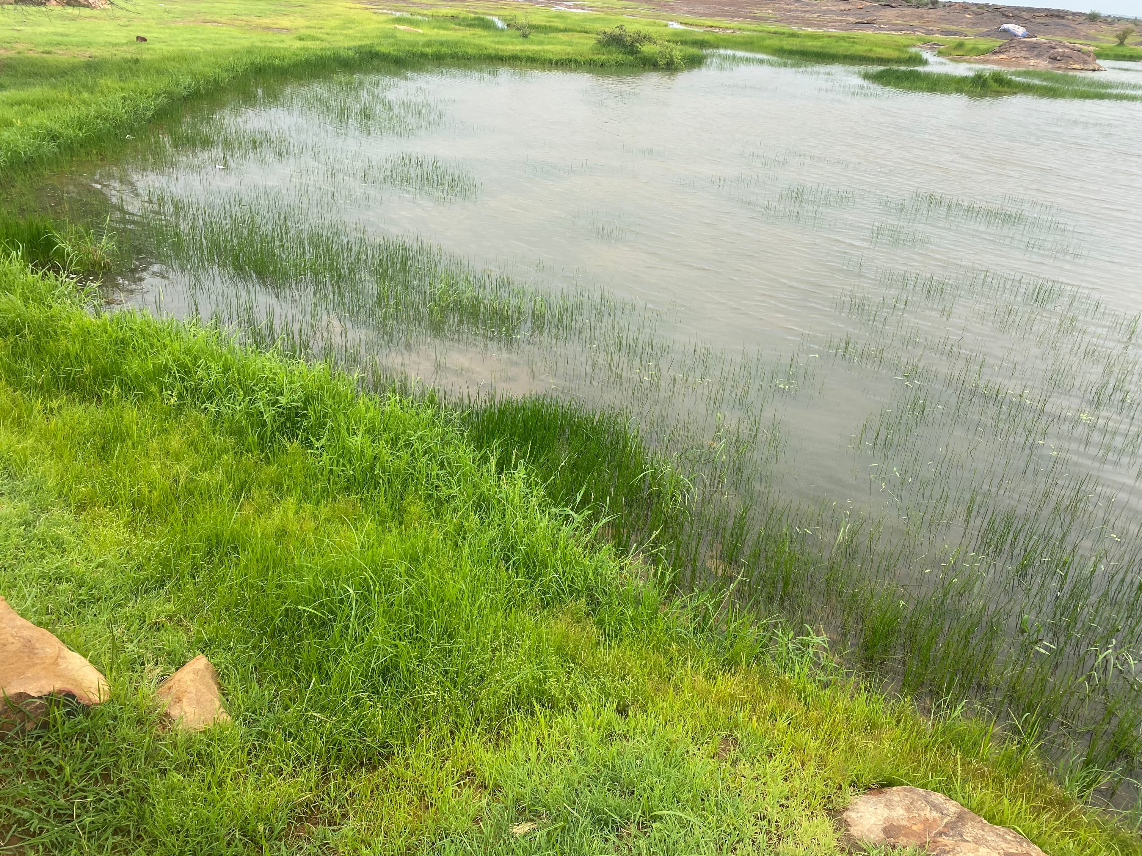 Tamchekett Landscape