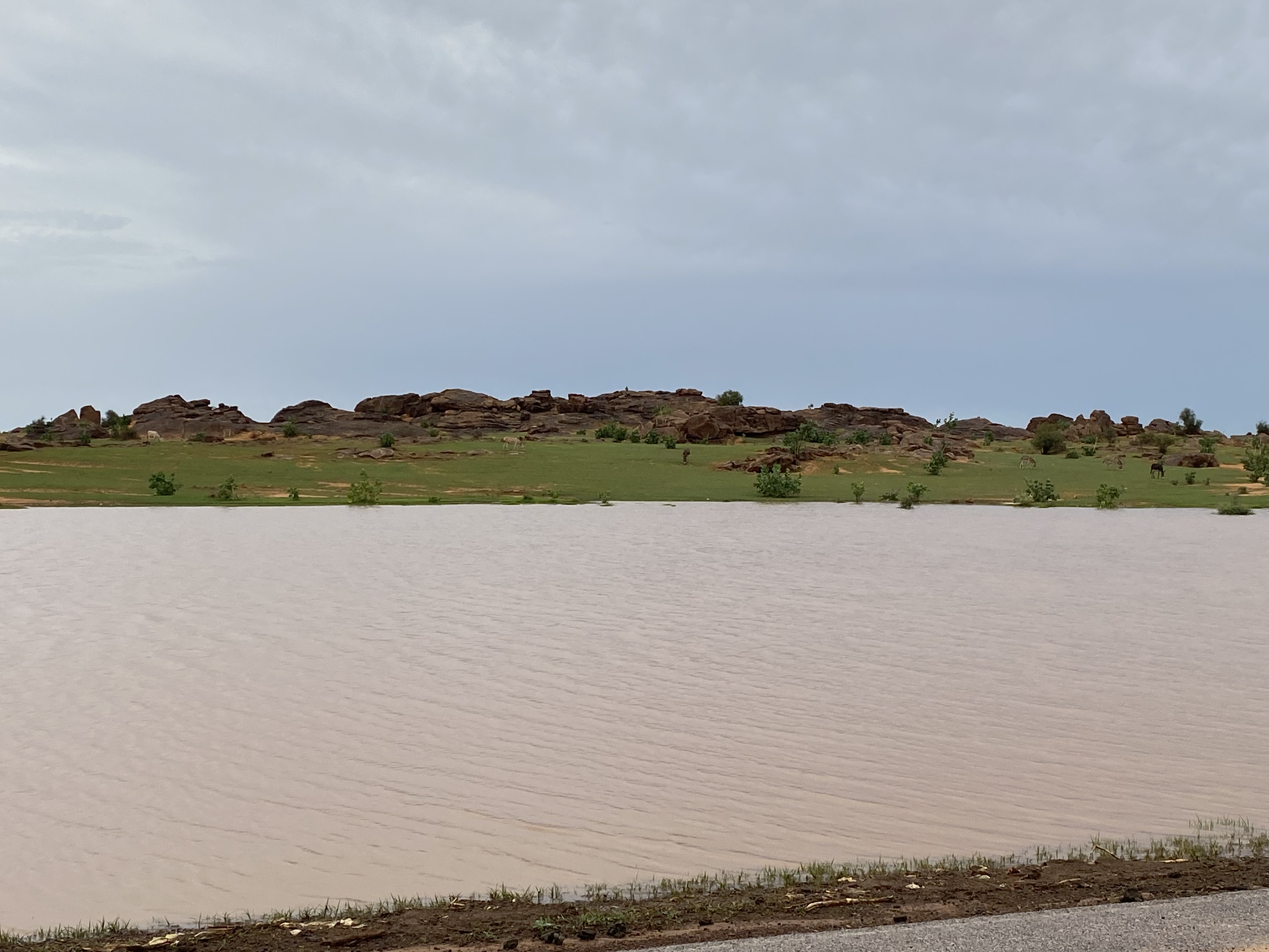 Tamchekett Nature Scene